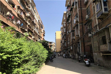 城东东方明珠3室2厅1卫100.81m2精装修